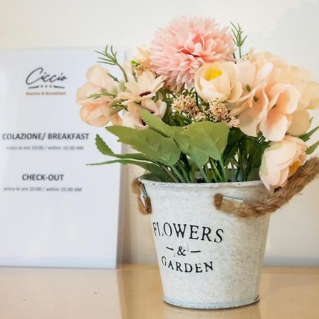 Ciccio Rooms And Breakfast - Self Check-In 팔레르모 외부 사진
